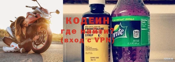 ГАЛЛЮЦИНОГЕННЫЕ ГРИБЫ Ладушкин