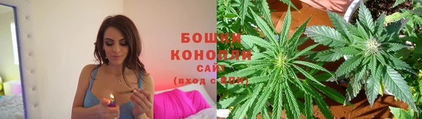 спиды Лагань