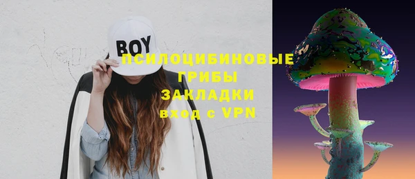 шишки Липки