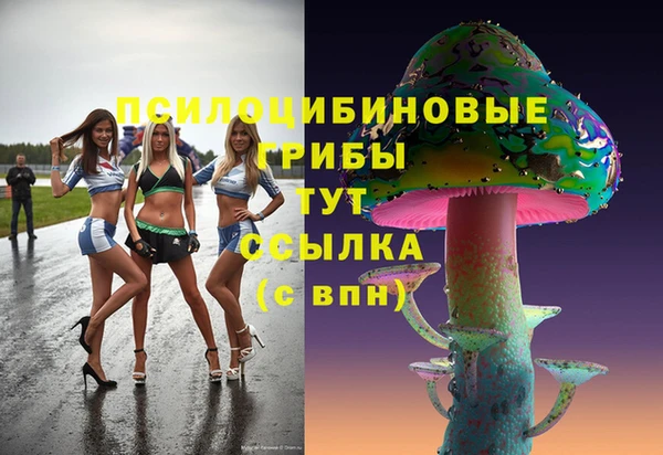 метадон Лабытнанги