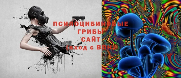 спиды Лагань