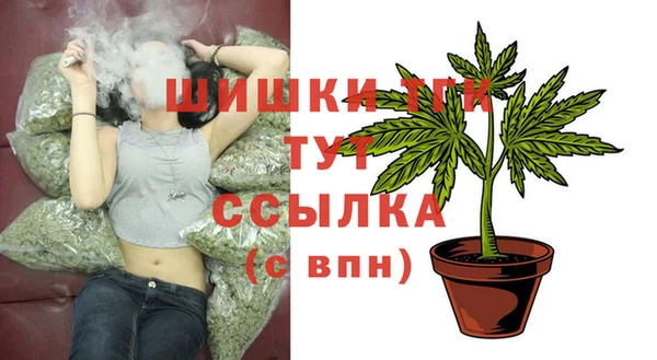 ГАЛЛЮЦИНОГЕННЫЕ ГРИБЫ Ладушкин