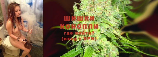 ГАЛЛЮЦИНОГЕННЫЕ ГРИБЫ Ладушкин